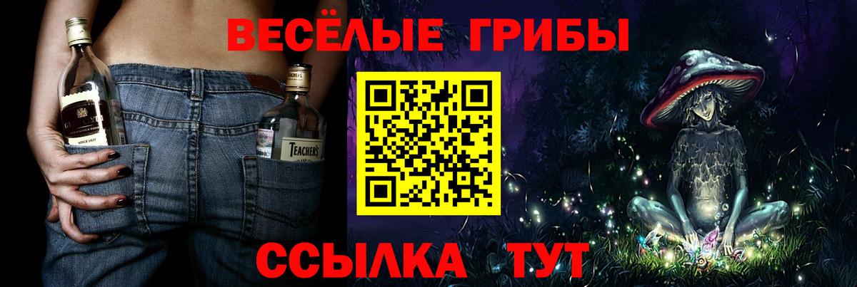 Псилоцибиновые грибы Psilocybine cubensis Старая Купавна
